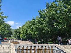 -晋祠公园