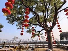 -无锡蠡湖国家湿地公园-蠡园