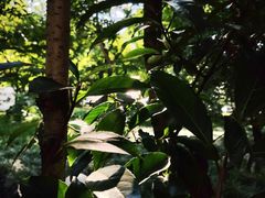 -西湖天地