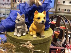 -Sony Store 索尼(上海淮海中路店)