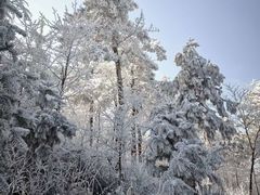 -四明山国家森林公园