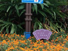 -人民公园(罗湖区)