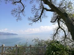 -南诏风情岛