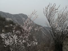 -北京鹫峰国家森林公园