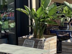 露天位-the rug 飞毯 (朝阳公园店)
