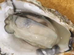 -蚝专家(北滘店)