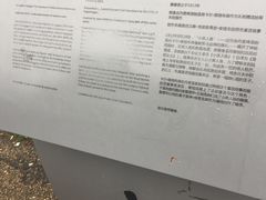 -美人鱼