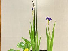 -今日陶艺(富力广场店)