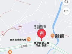 -杨林闻老三酸菜鱼(总店)