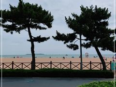 -青岛金沙滩