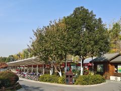 -合肥滨湖国家森林公园