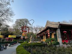 -白家大院·王府宫廷菜(苏州街店)
