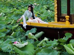 -荷花荡