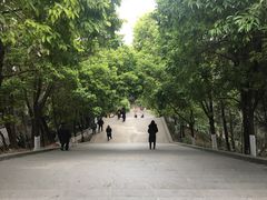 -富乐山