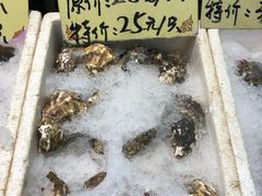 -蚝得喜海鲜(东城店)