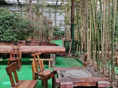 -北京呀路古热带植物园