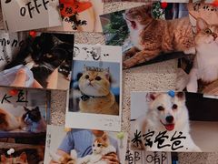 -OZ cafe(南昌路店)