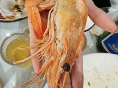 -日月昇渔家菜·海肠捞饭·大连海鲜(星海公园店)