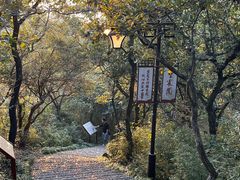 -杭州半山国家森林公园