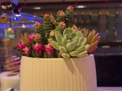 -River Café 海鲜自助(重庆丽笙世嘉酒店)