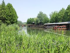-溱湖国家湿地公园