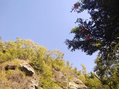 -板樟山森林公园