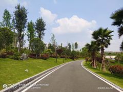 -枫香湖儿童公园