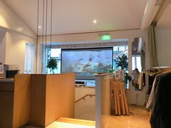 -蝶舍·MAISON PAPILLON