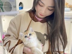-lincat·猫舍(广州店)