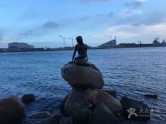 -美人鱼