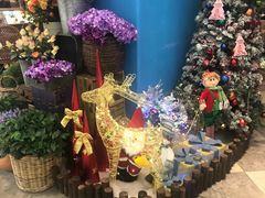 -Aqua Oasis 水天堂(相城天虹商场店)