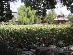 -莲池书院博物馆