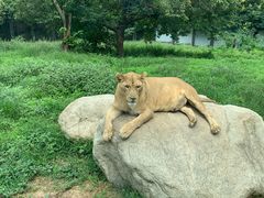 -西安秦岭野生动物园