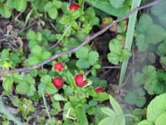 -敬亭山风景名胜区