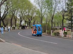 -丁香湖公园
