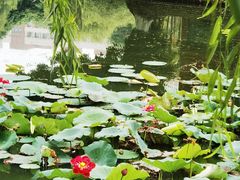 -西南交通大学(九里校区)