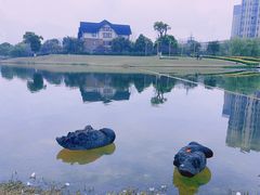 -洋湖国家湿地公园