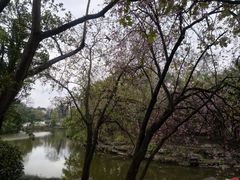 -柳侯公园