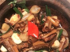 -大榕树下顺德菜(融创茂店)