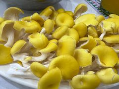 -朴小妹人参鸡汤火锅(长白山万达店)