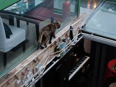 -EATALIA意塔利意式餐厅(鼓楼店)