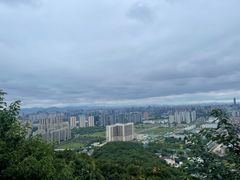 -杭州半山国家森林公园