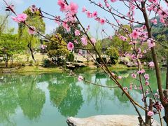 -桃花岭景区