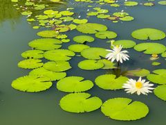 -国家植物园南园