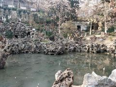 -伯先公园