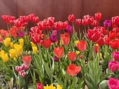 -衡山路(地铁站)