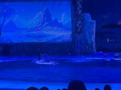 -华夏文旅海洋公园