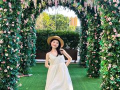 -汕头龙光喜来登酒店