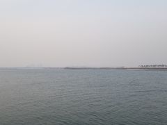 -贝林大翅鲸简餐厅(国家海洋博物馆店)