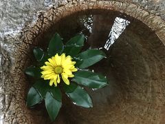 -昆明柏联SPA温泉